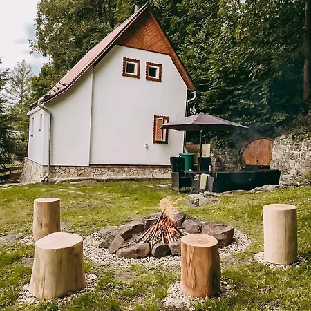 Cozy Modern By The Forest Chřibská