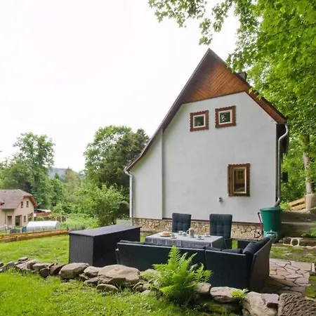 Cozy Modern By The Forest Chřibská