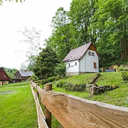Cozy Modern By The Forest